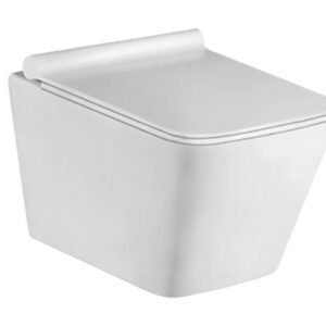 SPZ-Wall Hung Toilet