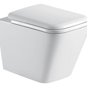 SPZ-Wall Hung Toilet