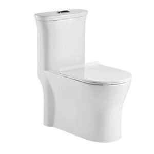 SPZ-One Piece Water Closet