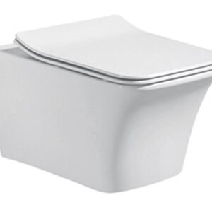 SPZ-Wall Hung Toilet